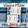 Pfizer Viagra kamagra1